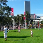 P1000774.jpg