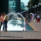 P1000776.jpg