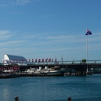 P1000778.jpg