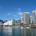 P1000786.jpg