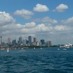 P1000851.jpg