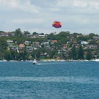 P1000855.jpg