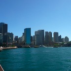 P1000950.jpg