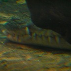 P1010053.jpg