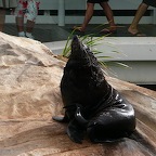 P1010075.jpg