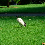P1010115.jpg