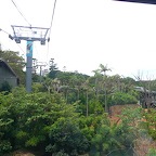 P1010210.jpg