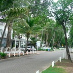 P1010614.jpg
