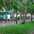 P1010615.jpg
