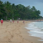 P1010612.jpg