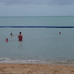 P1010616.jpg