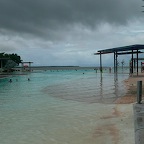 P1010355.jpg