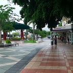 P1010365.jpg
