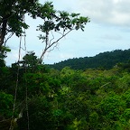 P1010413.jpg