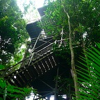 P1010420.jpg