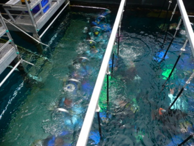 Loading Image