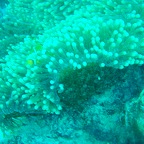 P1110024.jpg