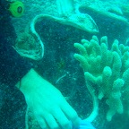 P1110027.jpg