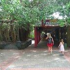 P1010607.jpg
