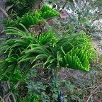 P1000350.JPG