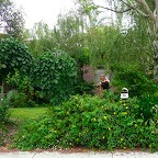 P1000419.jpg