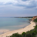 P1000421.jpg