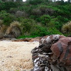 P1000433.jpg