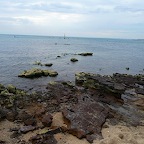 P1000434.jpg