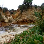 P1000439.jpg