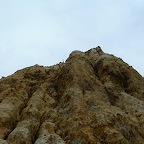 P1000444.jpg