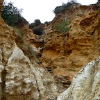 P1000446.jpg