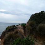 P1000447.jpg
