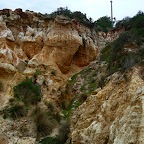 P1000451.jpg