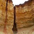 P1000457.jpg