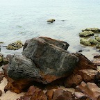 P1000460.jpg