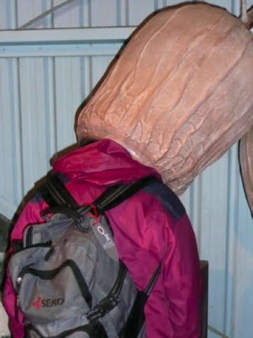 Loading Image