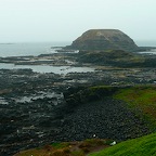 P1000623.jpg