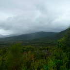 P1000641.jpg