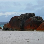 P1000648.jpg